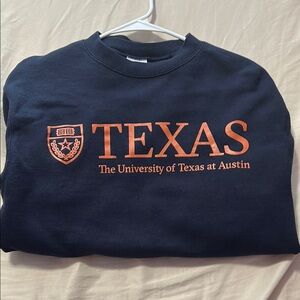 Champion Blue and Orange Crewneck Sweater